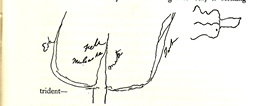 Coleridge Trident Drawing